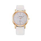 The Yolako Slim - Dial & Detail Co.